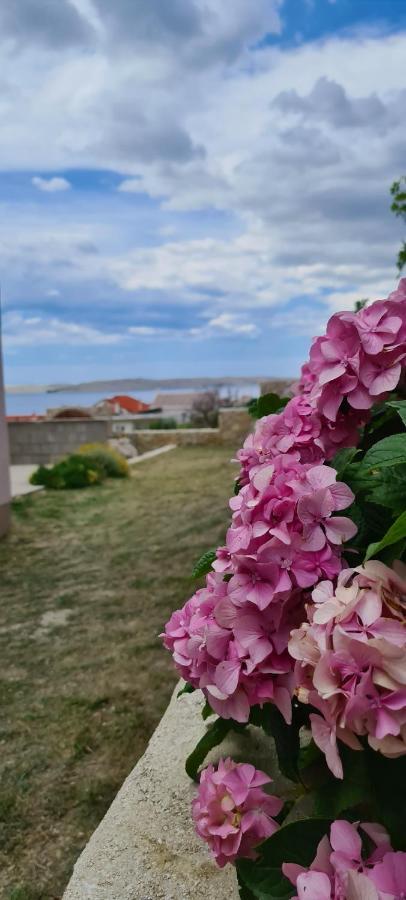 Apartmani Cesar Rtina Dış mekan fotoğraf